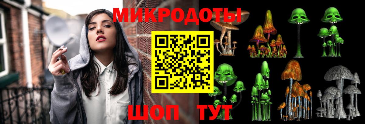 Галлюциногенные грибы MAGIC MUSHROOMS  Вход с VPN  Псилоцибиновые грибы Psilocybe  продажа наркотиков  Саранск 